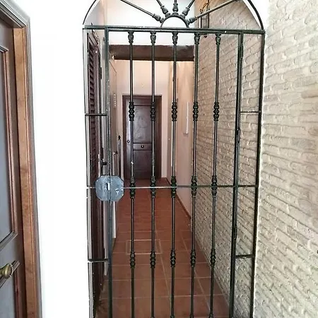Magnifico Atico En Pleno Barrio De Triana Seville