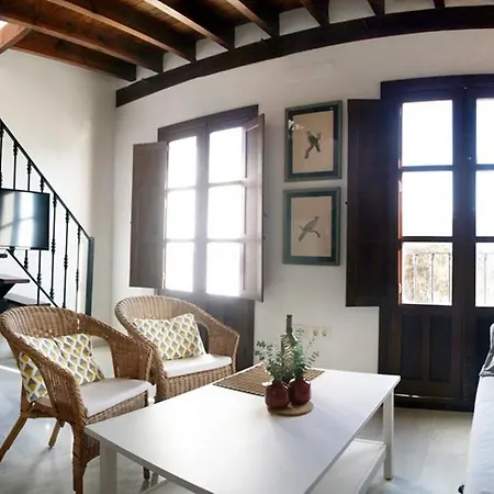 Magnifico Atico En Pleno Barrio De Triana Apartment