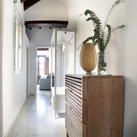 Apartment Magnifico Atico En Pleno Barrio De Triana Seville